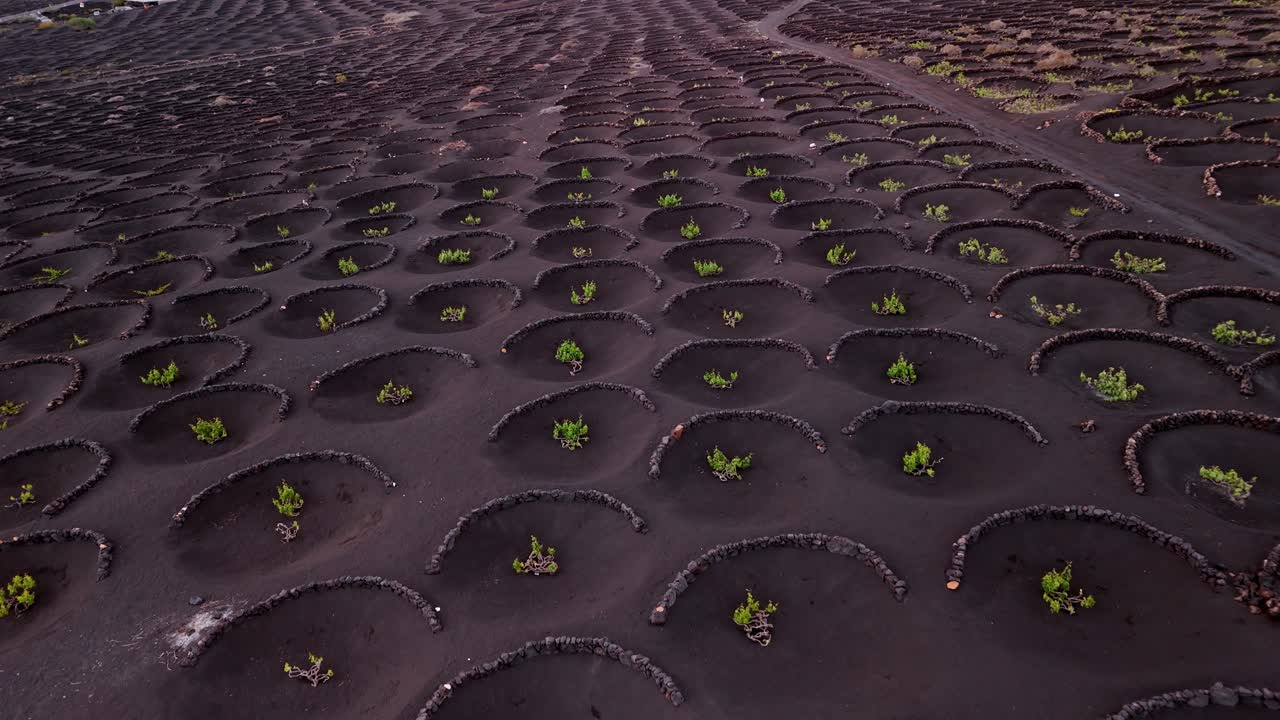 La Geria is a unique wine-growing region in Lanzarote, part of the Canary Islands, Spain, known for its striking landscape shaped by volcanic activity.