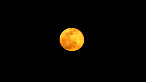 Primer-Plano-De-La-Luna-Amarilla-Subiendo-En-El-Cielo-Por-La-Noche