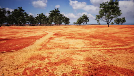 Tierra-Seca-Agrietada-Durante-La-Estación-Seca