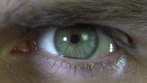 close-up of a human eye