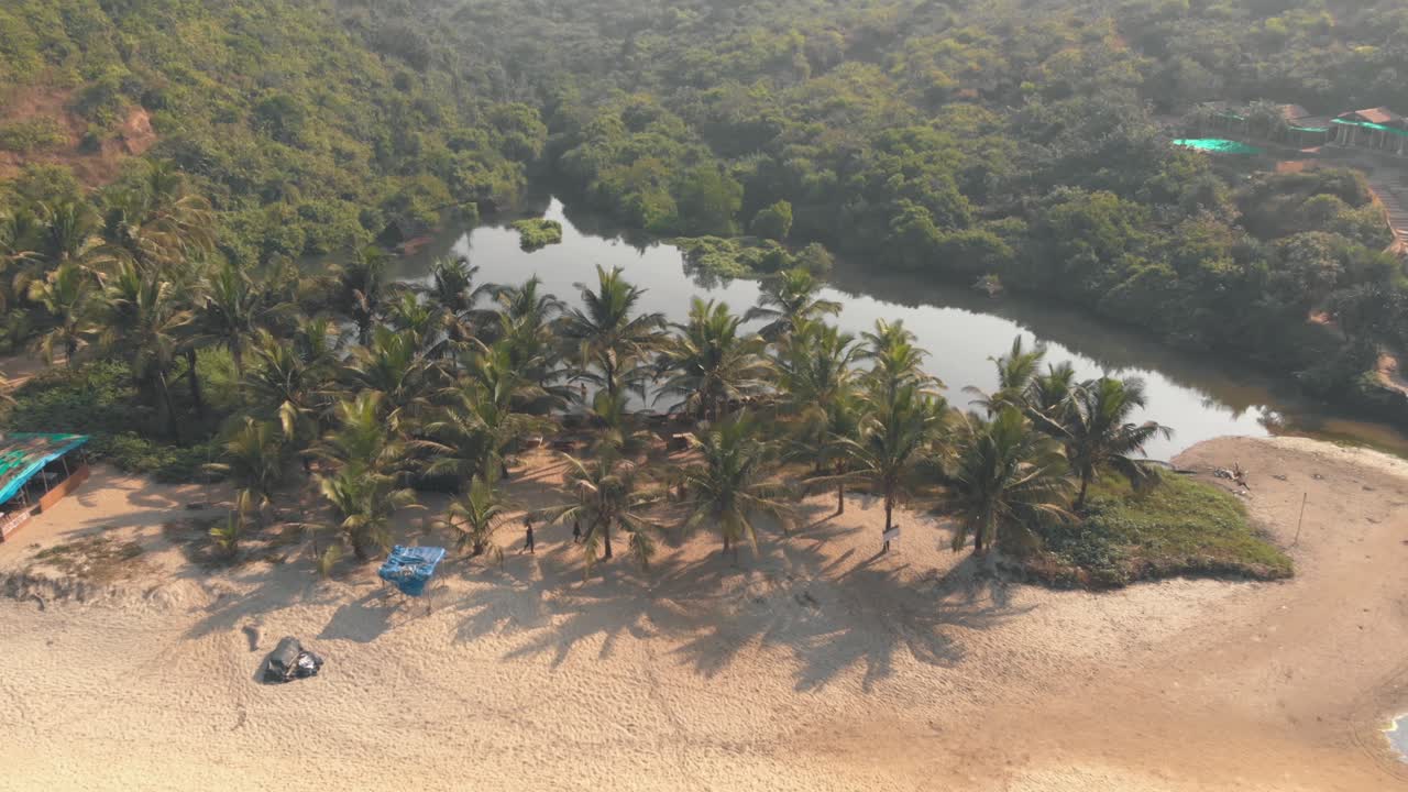 Fly over palm trees. Reveal of  sweet lake and Arambol beach. Goa, India