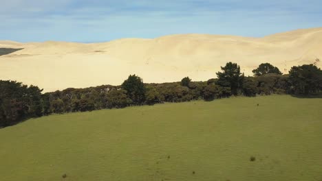 Seguimiento-Aéreo-De-Un-Campo-Y-Las-Dunas-De-Arena-Gigantes-En-Nueva-Zelanda