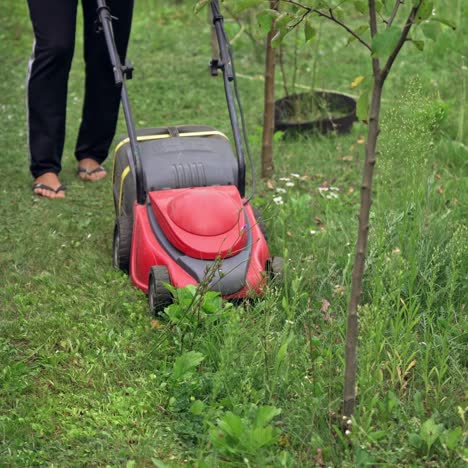 lawn mower cut grass