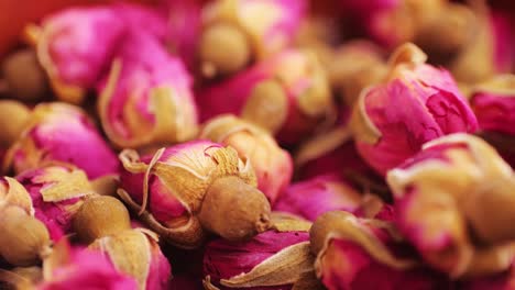 brotes de rosas rosadas secos