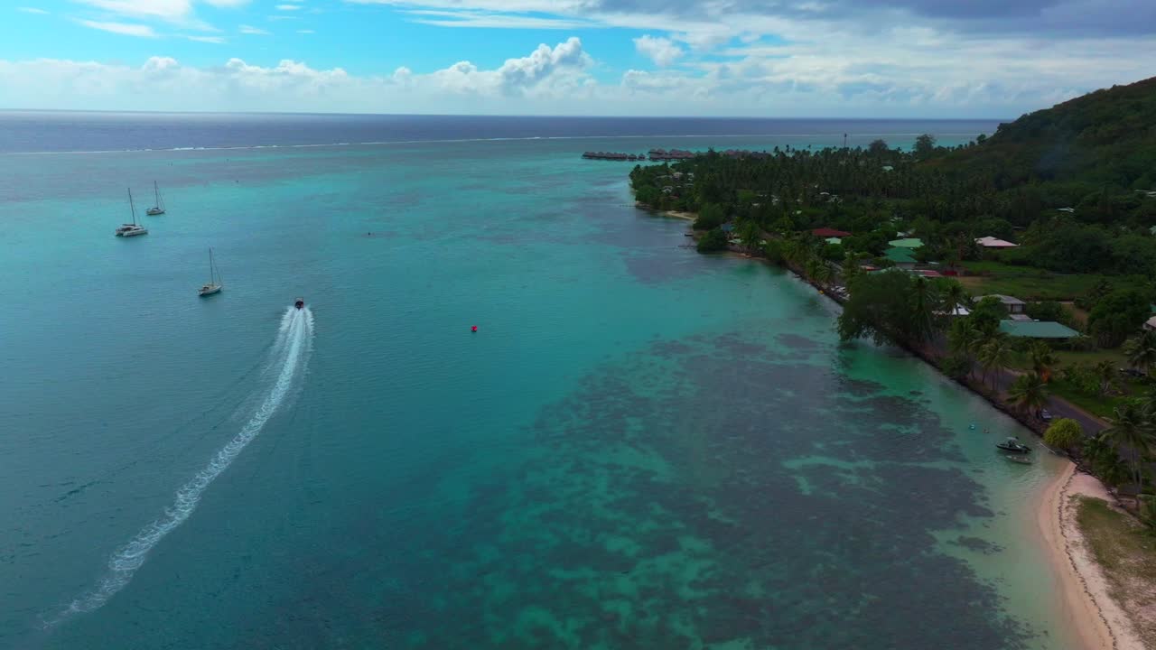 Baia di Opunohu a Moorea, Polinesia Francese. Vista aerea con un motoscafo che attraversa le acque turchesi della laguna, vicino alla spiaggia di Ta'ahiamanu e a una costa tropicale fiancheggiata da palme in primo piano, in movimento.