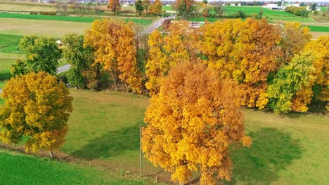 Una-Vista-De-Drones-De-Una-Fila-De-árboles-De-Otoño,-Con-Hojas-De-Color-Naranja-Y-Rojo-Brillantes-Que-Miran-Hacia-Las-Tierras-De-Cultivo-En-Un-Día-Soleado