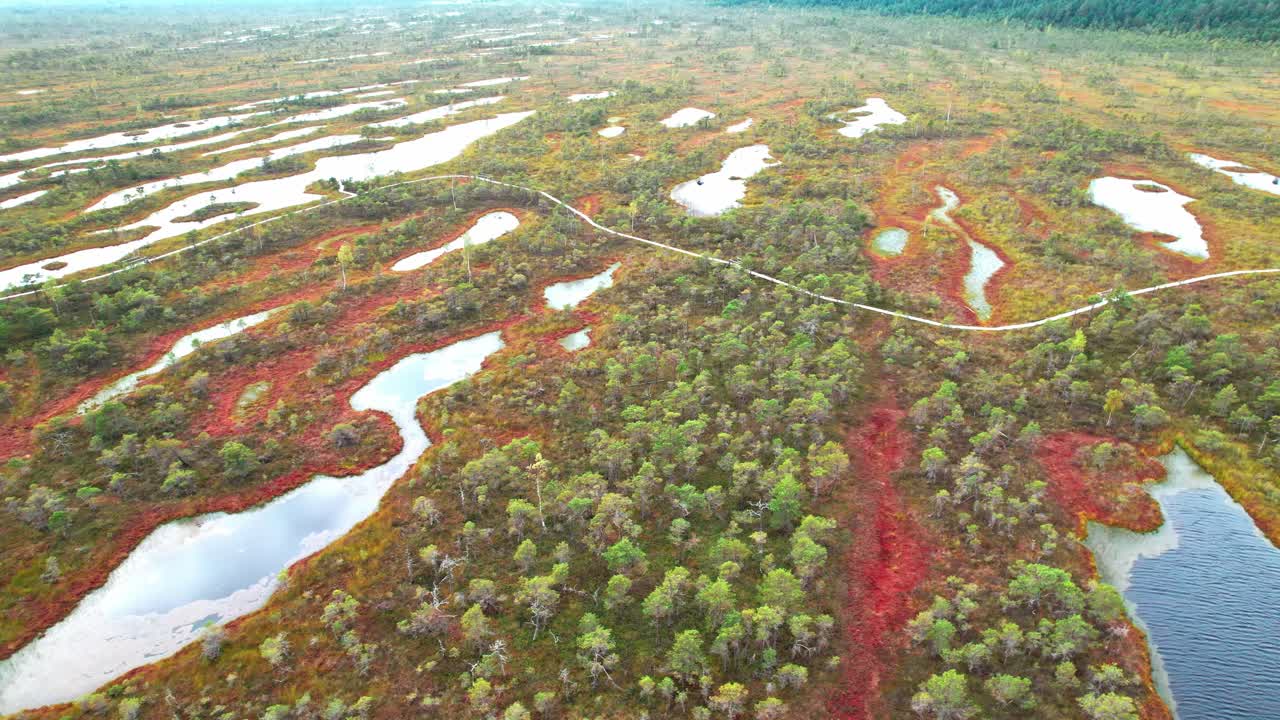 Aerial view of the stunning Kemeri swamp landscape in Latvia