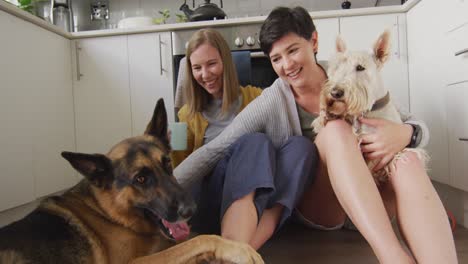 caucasian lesbian couple playing with their dogs sitting in the kitchen at home