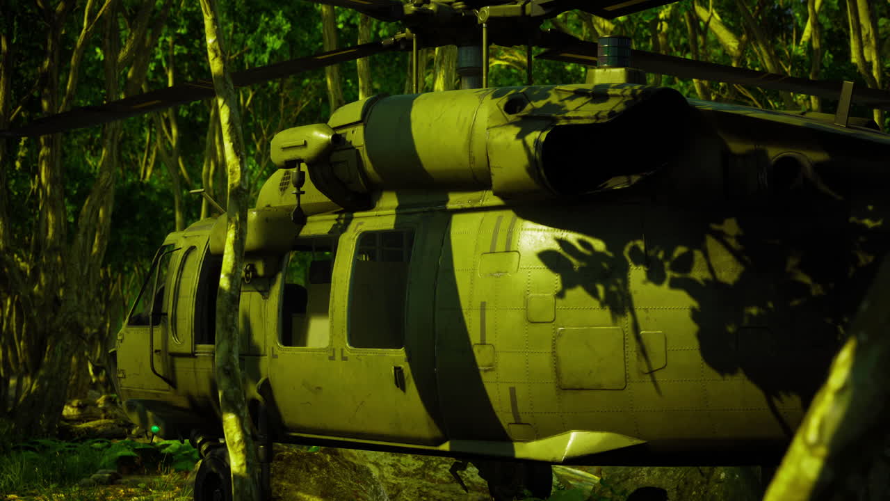 Military helicopter hidden in thick jungle foliage by day