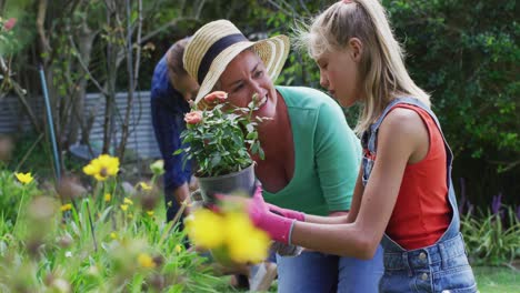 Kaukasische-Enkelin-Und-Großmutter-Pflanzen-Im-Garten-Blumen-Und-Arbeiten-Mit-Ihrer-Familie-Im-Garten