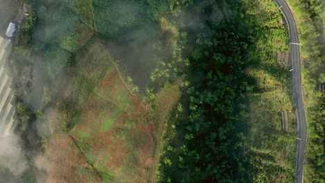 impressive overhead view over the constance valley, highlighting the farms taken with drone