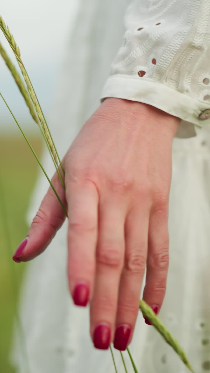 un primer plano de la mano de una mujer, adornada con esmalte de uñas rojo y un anillo de plata, cepillando suavemente las hierbas altas en un campo tranquilo y verde.