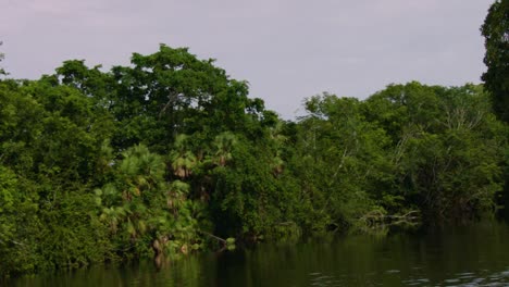 The-camera-moves-down-a-river-that-passes-by-the-Lamanai-Mayan-ruins-of-Belize-3