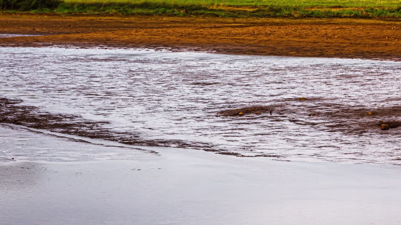 Close-up of muddy water covering agricultural field after rainfall with visible soil texture