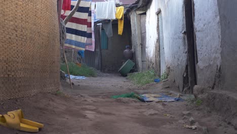 El-Perro-Terrier-Estaba-Parado-Y-Entrando-A-La-Casa-De-Manera-Divertida