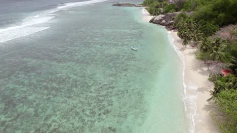 aerial view of a tropical beach with turquoise water and palm trees