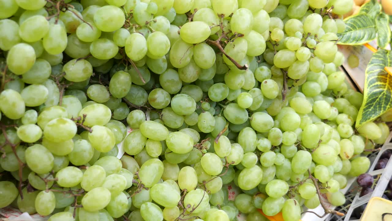 Primo piano di uva verde