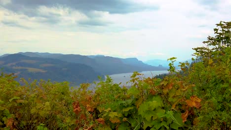 HD-Boom-Vorbei-An-Herbstfarbenen-Hecken,-Um-Das-Aussichtshaus-Auf-Einer-Klippe-In-Der-Ferne-Mit-Blick-Auf-Den-Columbia-River-Mit-Größtenteils-Bewölktem-Himmel-Zu-Enthüllen