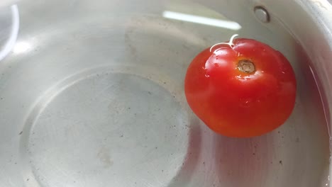 close up of a tomato soaked in water