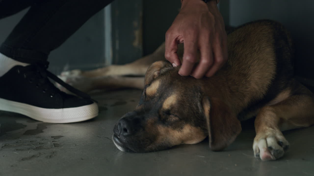 Your time will come to find a home, don't worry