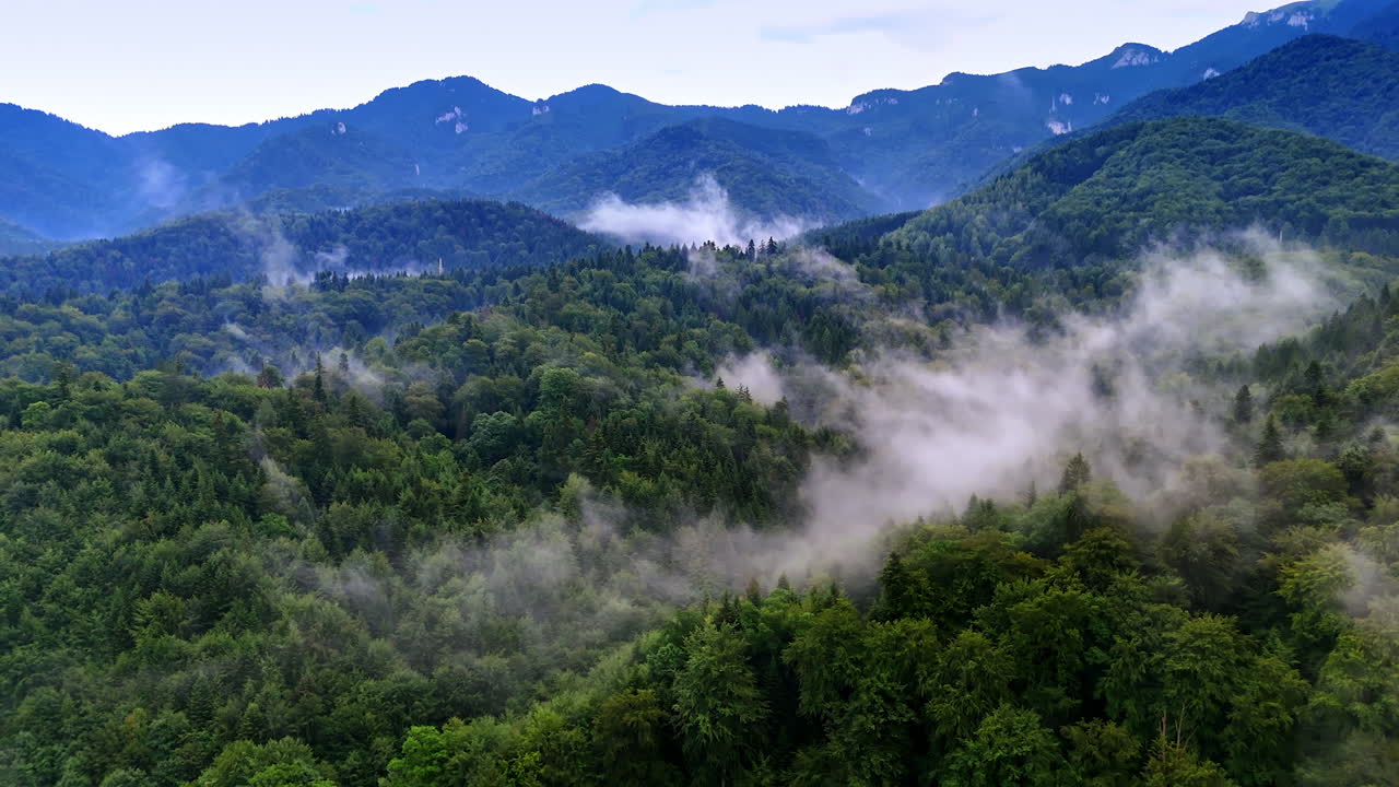 Misty mountains reveal lush green forests at dawn. Lush green forests stretch across misty mountains under a soft morning light, creating a serene natural landscape