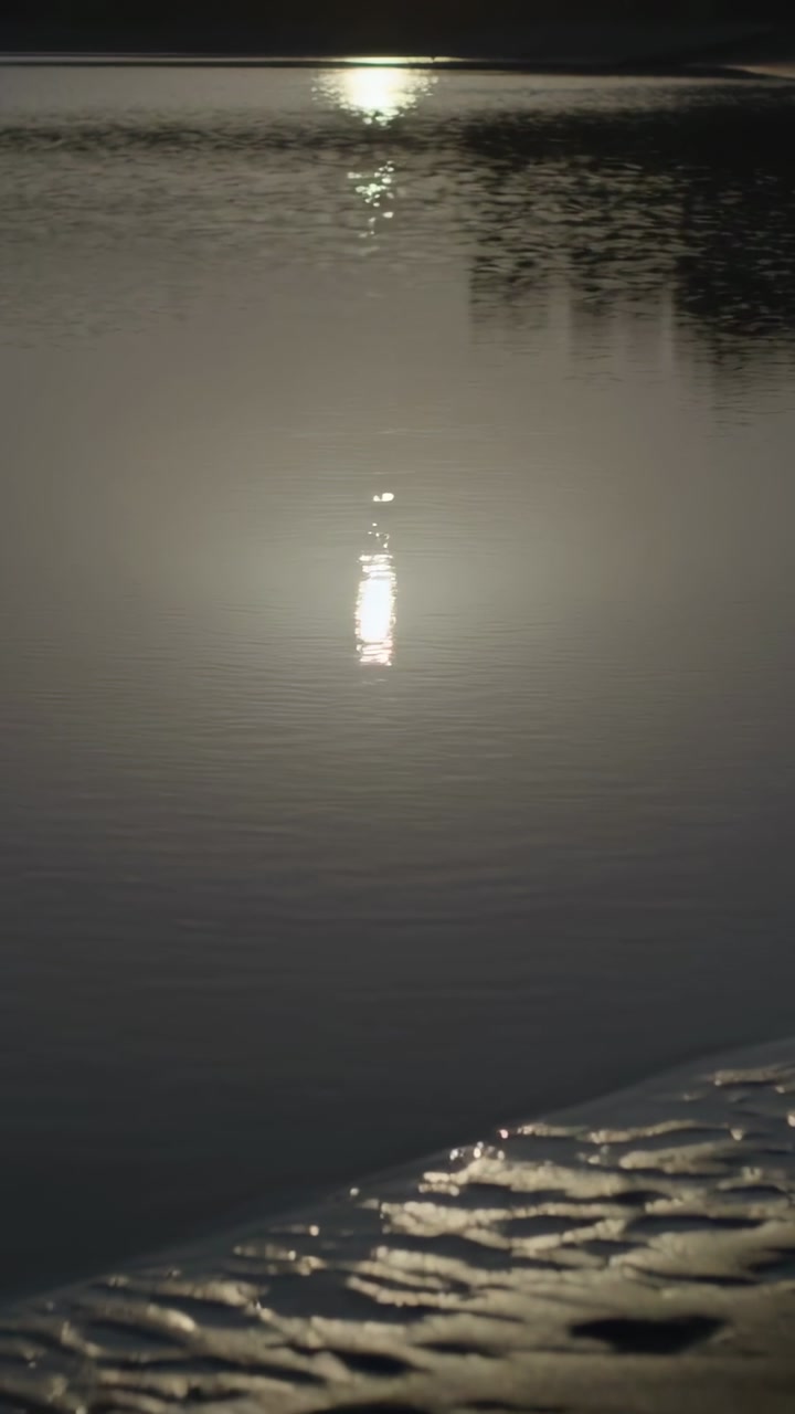 Vertical video: Tilting shot showing light column on calm water near trees exposing wet sand prints