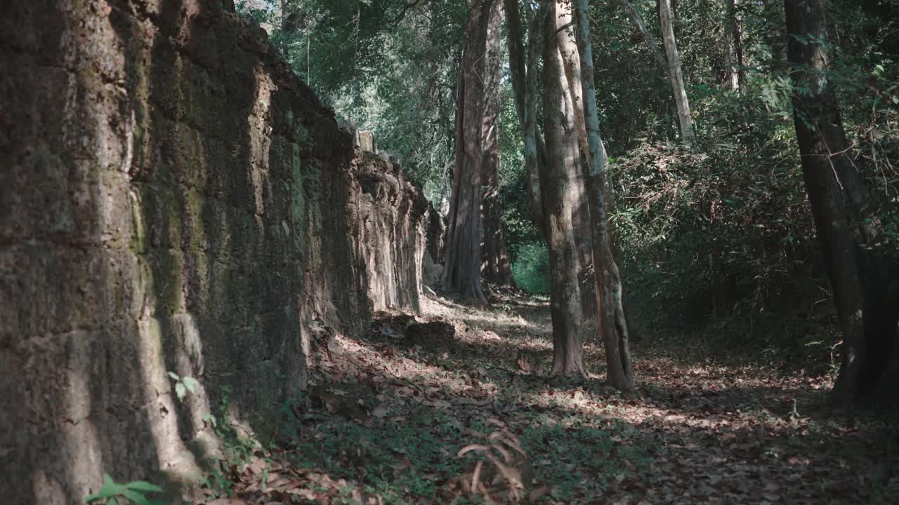 antiguas ruinas de piedra en medio de un denso bosque en angkor wat, camboya, vibra misteriosa y tranquila, luz del día