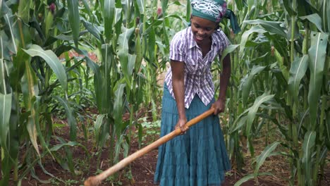 Una-Toma-Amplia-En-Cámara-Lenta-De-Una-Mujer-Africana-Cavando-Con-Una-Azada-En-El-Suelo-En-Su-Campo-De-Maíz-En-África-Rural