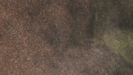 the explosion of shimmering particles. slow motion