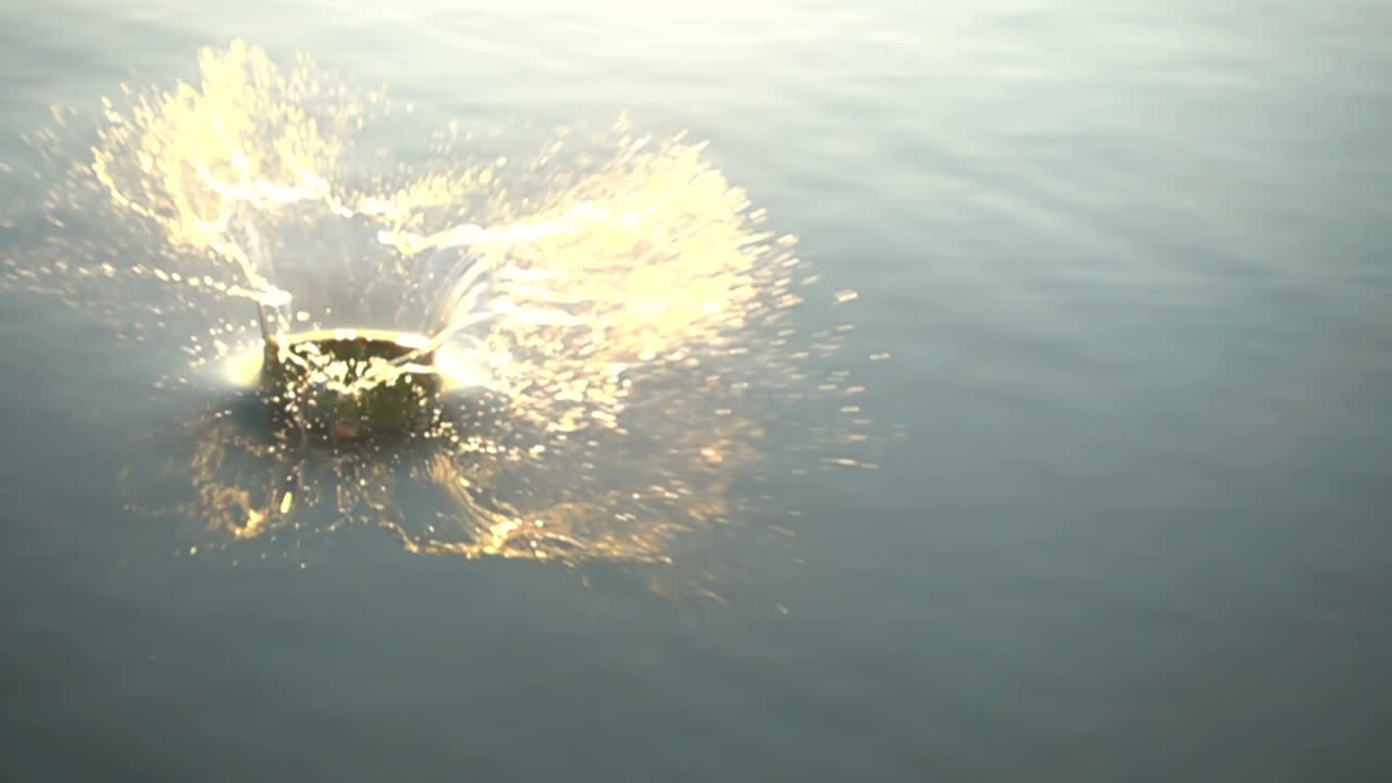 The stone falls in water. Slow Motion