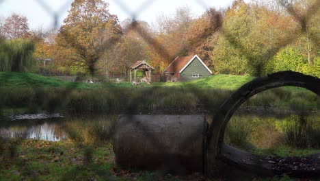 wide shot through a fence of typical dutch deer park with grazing deers