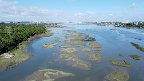 panorama del río con pantanos verdes cerca del campo de seixal en portugal