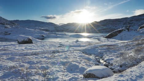 the northern landscape is brightly lit by the low autumn sun