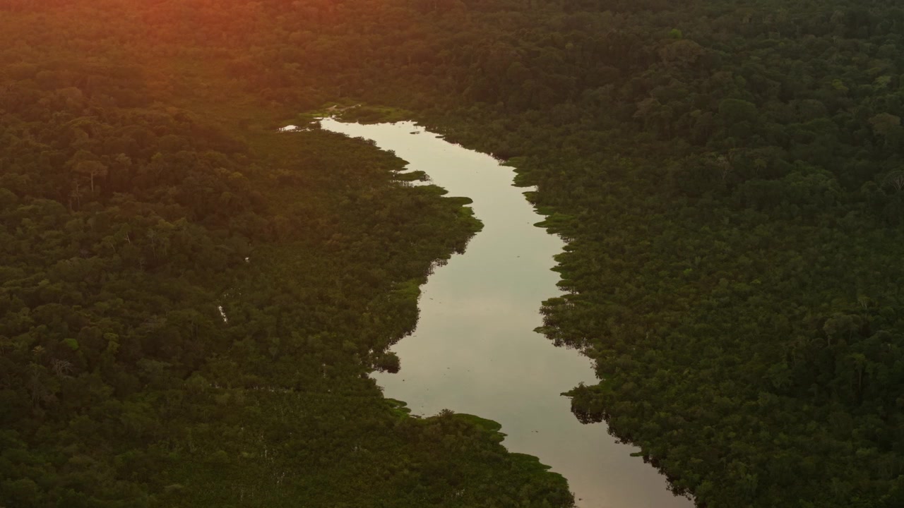 Majestueus luchtperspectief van een kronkelende rivier door de dichte Amazone-jungle tijdens het gouden uur.