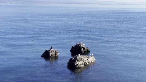 seagulls and a crane resting on boulders on sea shore with island in distance close up, opatija, croatia