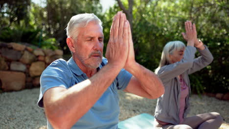 senior couple practicing yoga and meditation outdoors