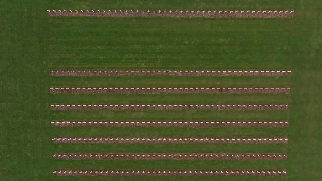 Aerial view of Douaumont Ossuary standing over war graves France