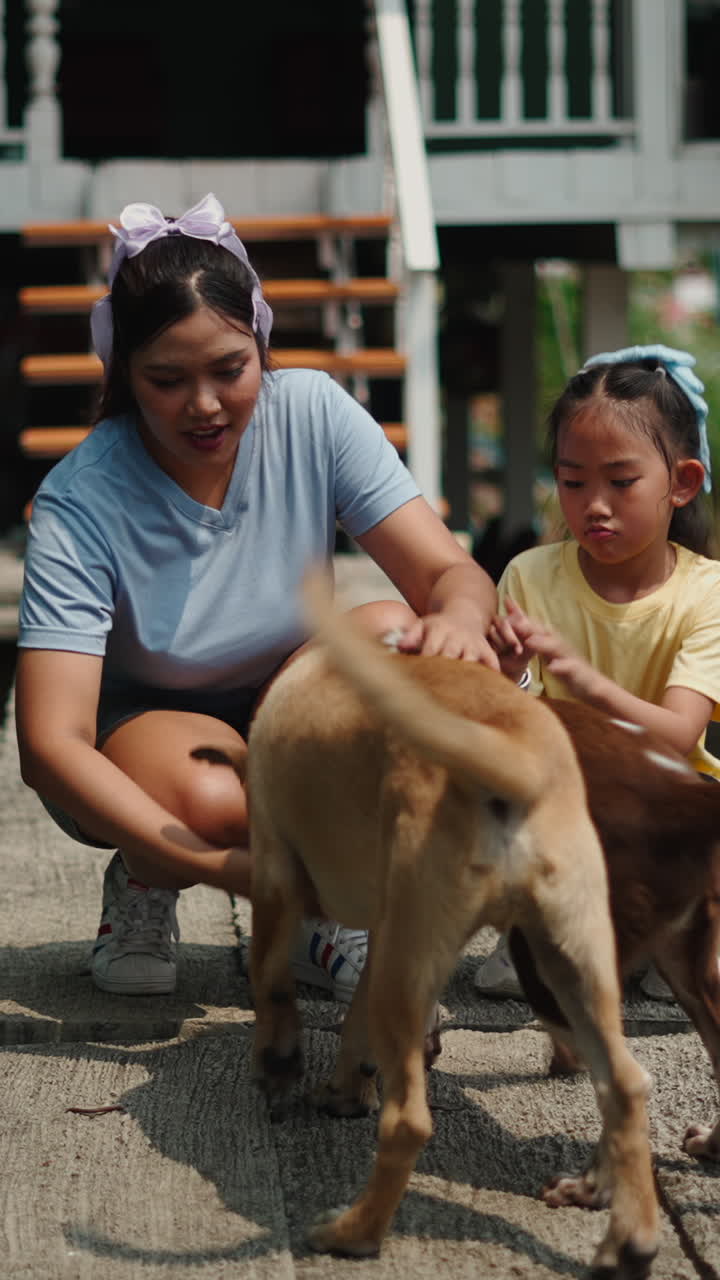 Mujer y niña interactuando de forma juguetona con perros al aire libre