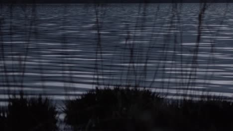 Orilla-De-La-Isla-En-La-Noche-Lago-Ondulaciones-Luz-De-La-Luna-Tiro-Panorámico-Lento