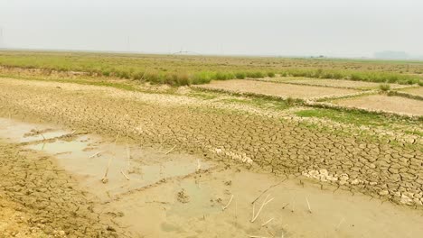 panning shot of cracked soil in drought farmland