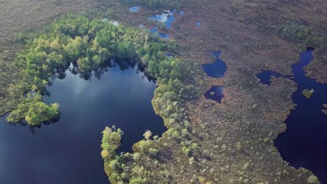 hermosa vista aérea de pájaro del paisaje pantanoso con