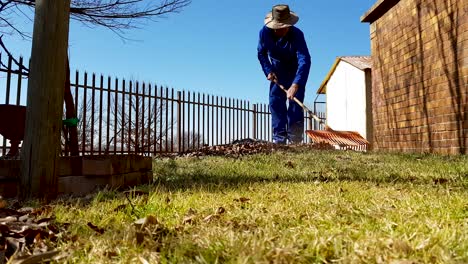 man-raking-leaves-on-lawn-zoom-in