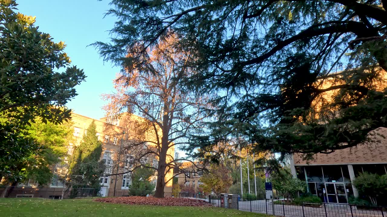 멜버른에 있는 나무와 건물이 있는 대학 캠퍼스