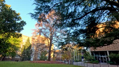 campus universitario con árboles y edificios en melbourne