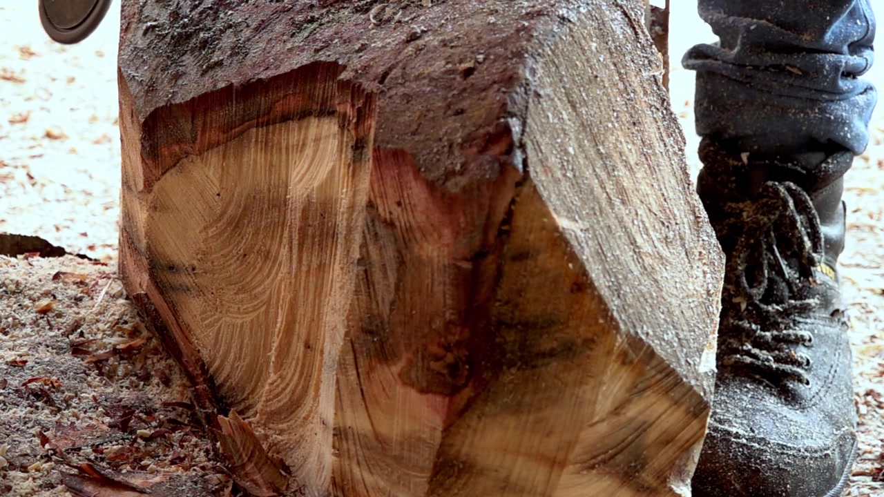 Nahaufnahme einer Kettensäge, die einen großen Holzstamm mit sichtbarer Holzstruktur und Sägemehl während rustikaler Holzbearbeitung und Holzverarbeitung schneidet.