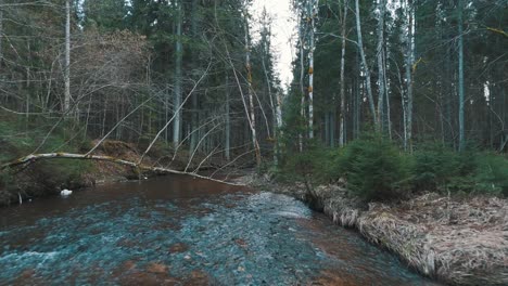 Naturlehrpfad-Cecilu-In-Ieriki,-Lettland