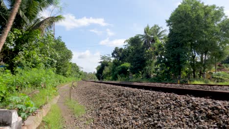 vías de tren que usan grava como cojín, cruzando los campos de arroz verde