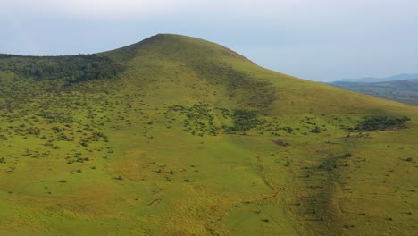 beautiful serbian countryside scenery, pester plateau grassland pastures, aerial