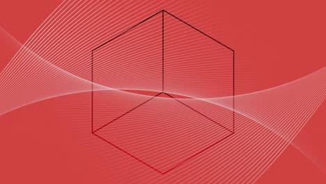 digital animation of wavy lines moving against cubical shape on red background