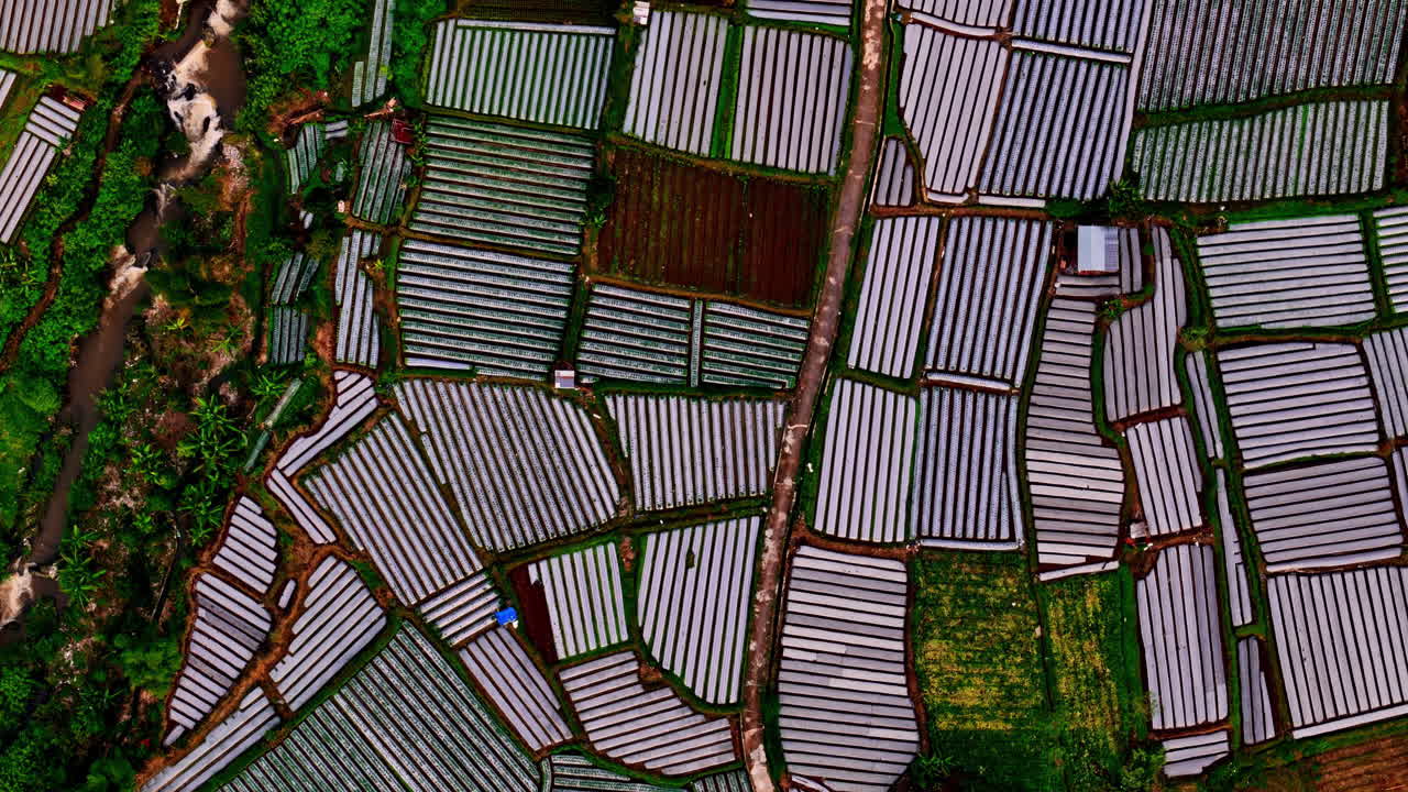 Top view over the rice fields of Bukit Selong, Lombok island, Indonesia